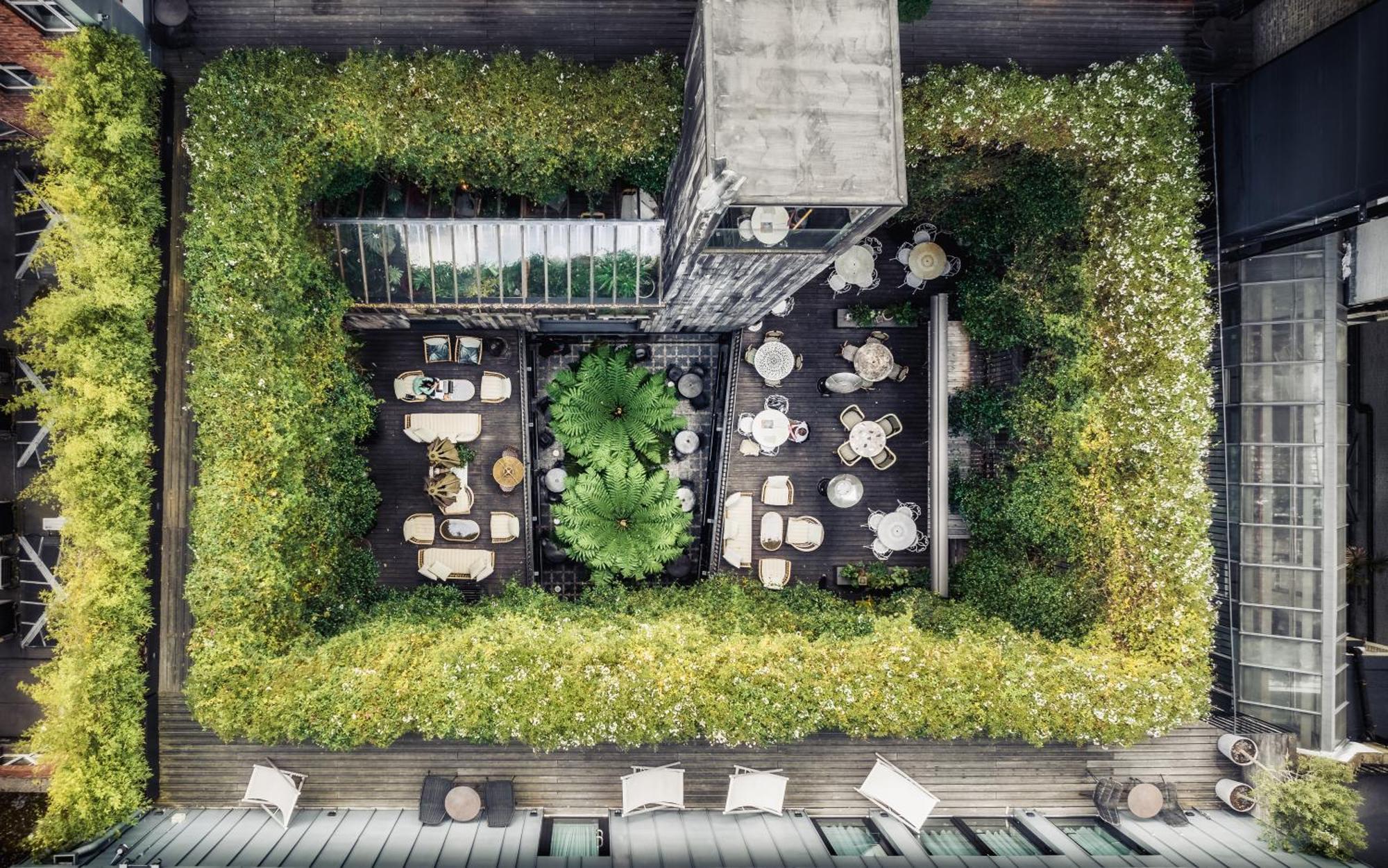 Hotel The Mandrake 5*